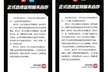 拼多多与两大威望球鞋辨别渠道达到协作未来将投入10亿补助正品潮鞋