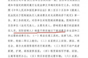 哈啰出行CEO杨磊遭法院约束消费