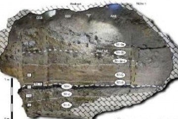 现代人类4.5万年前进入欧洲一处窟窿遗址供给新依据