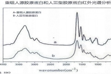 Lab101瑞沛酵母胶原蛋白冻干修护面膜 修护肌肤屏障